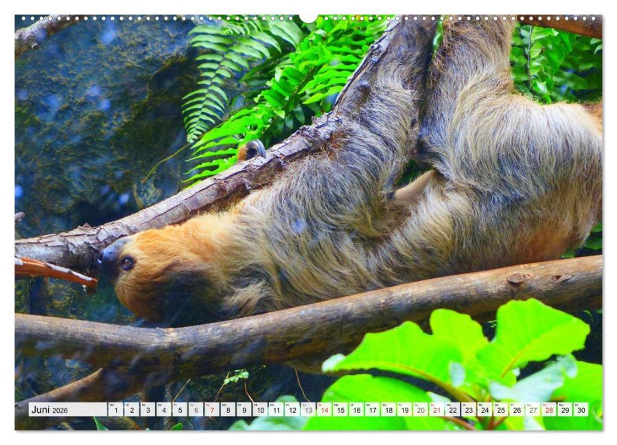 InsideView 11
