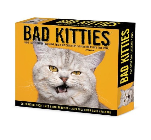 Bad Kitties 2024 6.2 X 5.4 Box Calendar - Willow Creek Press