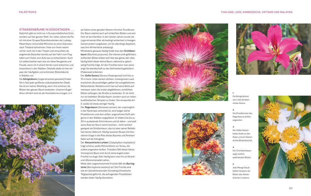 InsideView 5