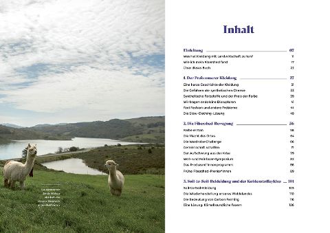 InsideView 1