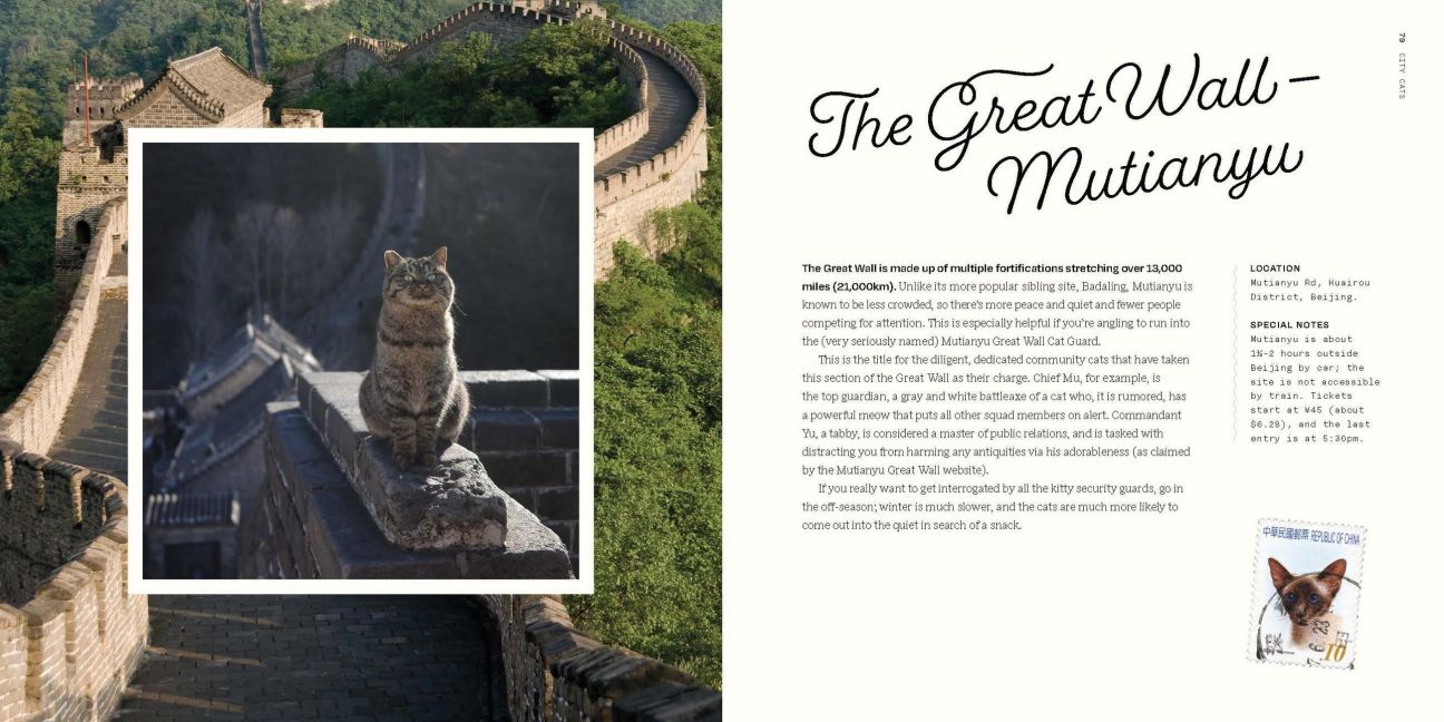 InsideView 14