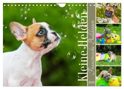Cover-Bild zum Titel 'Kleine Helden - Französische Bulldoggen (Wandkalender 2026 DIN A4 quer), CALVENDO Monatskalender' von 'Sigrid Starick'