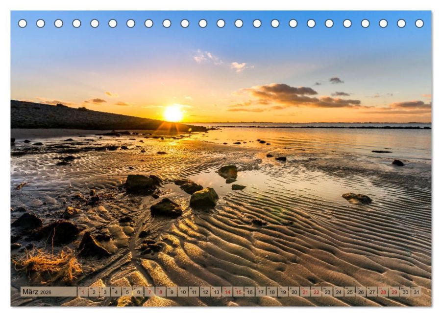 InsideView 8