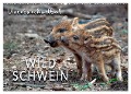 Unverwechselbar - Wildschwein (Wandkalender 2024 DIN A2 quer), CALVENDO Monatskalender - Peter Roder