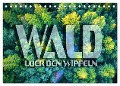 Wald - über den Wipfeln (Tischkalender 2024 DIN A5 quer), CALVENDO Monatskalender - Renate Bleicher