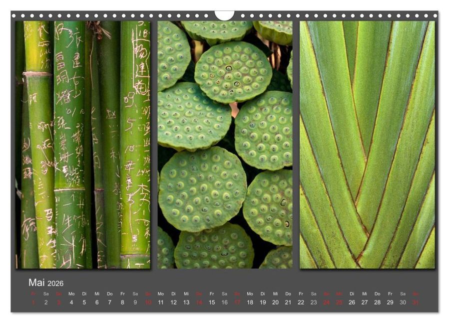 InsideView 10