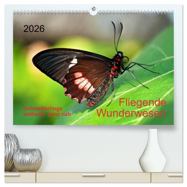 Fliegende Wunderwesen. Schmetterlinge weltweit, ganz nah (hochwertiger Premium Wandkalender 2026 DIN A2 quer), Kunstdruck in Hochglanz - Thomas Zeidler