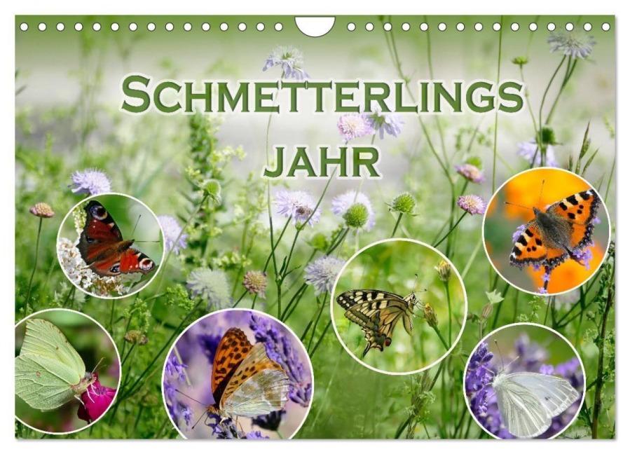 Schmetterlingsjahr (Wandkalender 2027 DIN A4 quer), CALVENDO Monatskalender - Christine B-B Müller