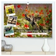 Cover-Bild zum Titel 'Ein Hundejahr in Bildern (hochwertiger Premium Wandkalender 2026 DIN A2 quer), Kunstdruck in Hochglanz' von 'Daniel Pelz'