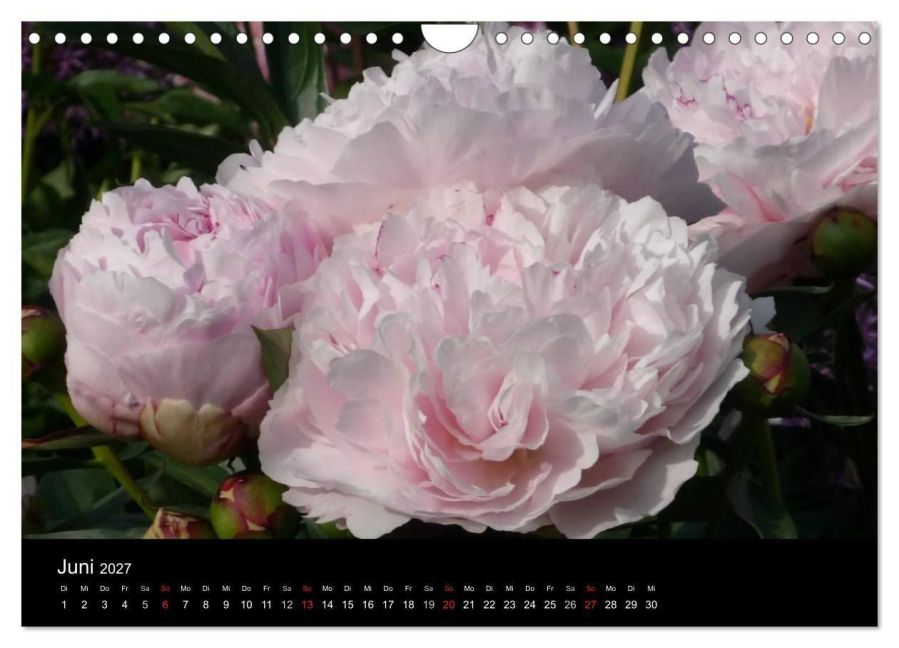 InsideView 11