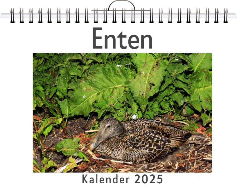 Enten - Ava Schäfer