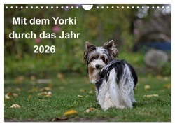 Cover-Bild zum Titel 'Mit dem Yorki durch das Jahr 2026 (Wandkalender 2026 DIN A4 quer), CALVENDO Monatskalender' von 'Friedhelm Bauer'