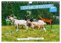 Ziegenfreude (Wandkalender 2025 DIN A4 quer), CALVENDO Monatskalender - RenaldoCaumont RenaldoCaumont