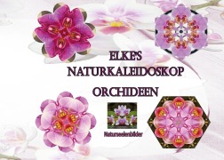 Cover-Bild zum Titel 'Elkes Naturkaleidoskop' von 'Elke Lützner'
