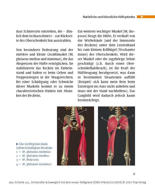 InsideView 3