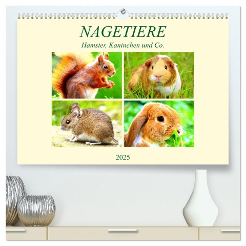 Nagetiere. Hamster, Kaninchen und Co. (hochwertiger Premium Wandkalender 2025 DIN A2 quer), Kunstdruck in Hochglanz - Rose Hurley