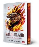 Cover-Bild zum Titel 'Wilderland - Das Feuer (Bd. 2)' von 'Gina Mayer'