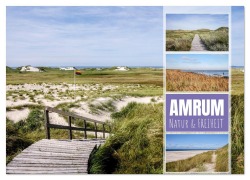 Cover-Bild zum Titel 'Amrum: Natur und Freiheit (Wandkalender 2026 DIN A2 quer), CALVENDO Monatskalender' von 'Ralph Kerpa'