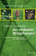 Cover-Bild zum Titel 'Kleine Enzyklopädie der essbaren Wildpflanzen' von 'Steffen Guido Fleischhauer'