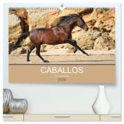 Caballos Spanische Pferde 2026 (hochwertiger Premium Wandkalender 2026 DIN A2 quer), Kunstdruck in Hochglanz - Petra Eckerl Tierfotografie