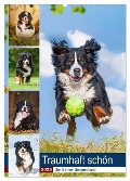 Traumhaft schön - Der Berner Sennenhund (Wandkalender 2025 DIN A2 hoch), CALVENDO Monatskalender - Sigrid Starick