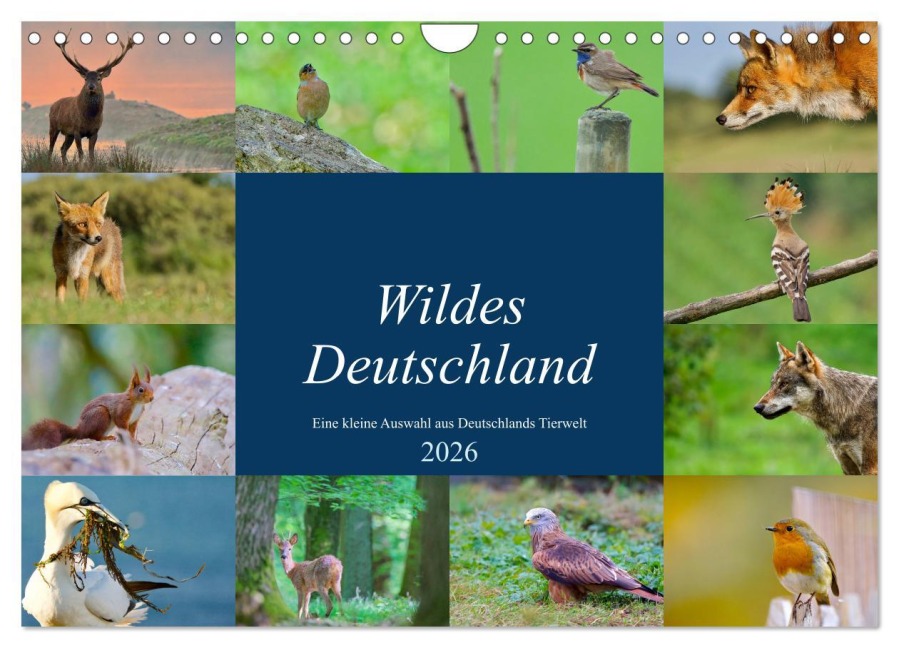 Wildes Deutschland (Wandkalender 2026 DIN A4 quer), CALVENDO Monatskalender - Andreas"aFriend" Freund
