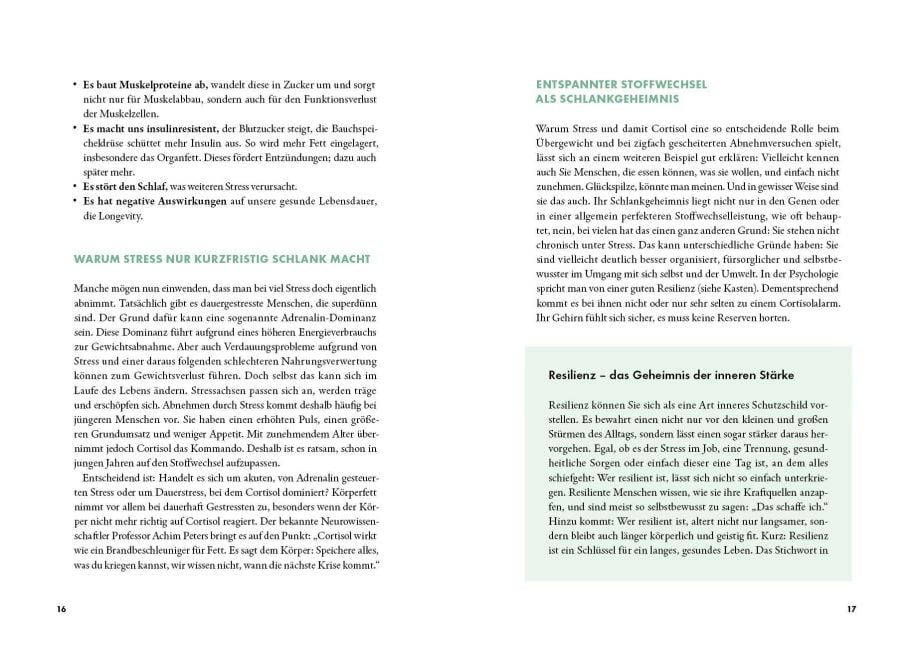 InsideView 6