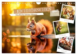 EICHHÖRNCHEN Niedliche kleine Wesen (Wandkalender 2026 DIN A4 quer), CALVENDO Monatskalender - Melanie Viola