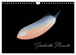 Cover-Bild zum Titel 'Federleichte Momente (Wandkalender 2026 DIN A4 quer), CALVENDO Monatskalender' von 'Natalie Moßhammer'