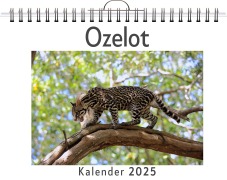 Cover-Bild zum Titel 'Ozelot' von 'Julia Schmidt'