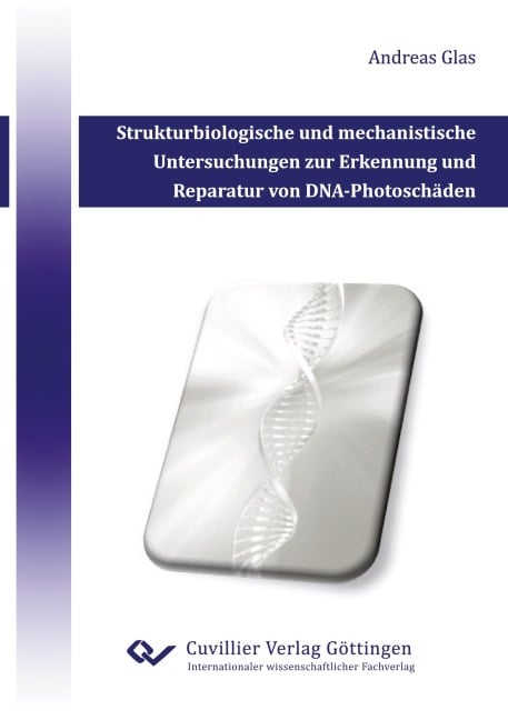 Strukturbiologische und mechanistische Untersuchungen zur Erkennung und Reparatur von DNA-Photoschäden - Andreas Glas