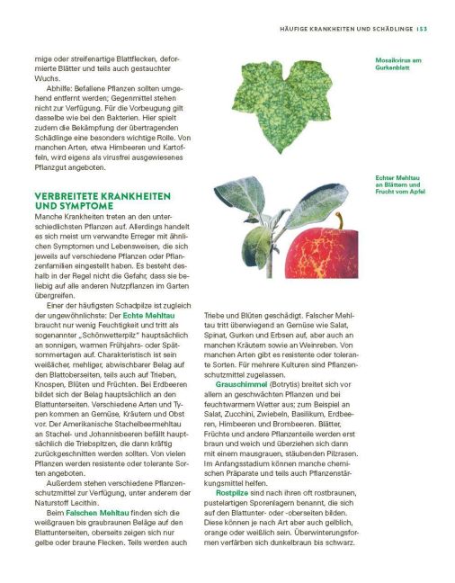 InsideView 10