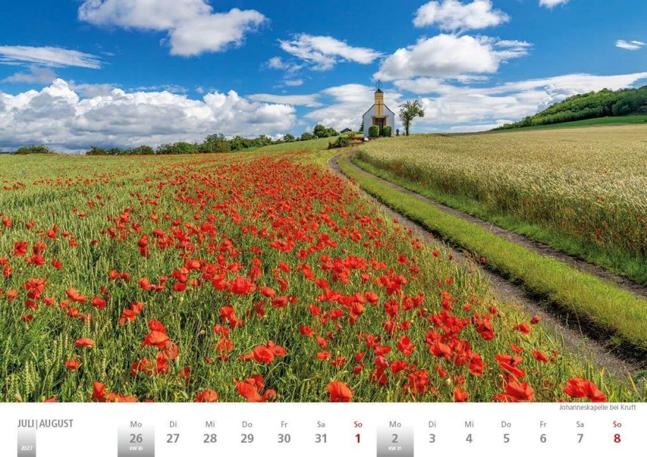 InsideView 16