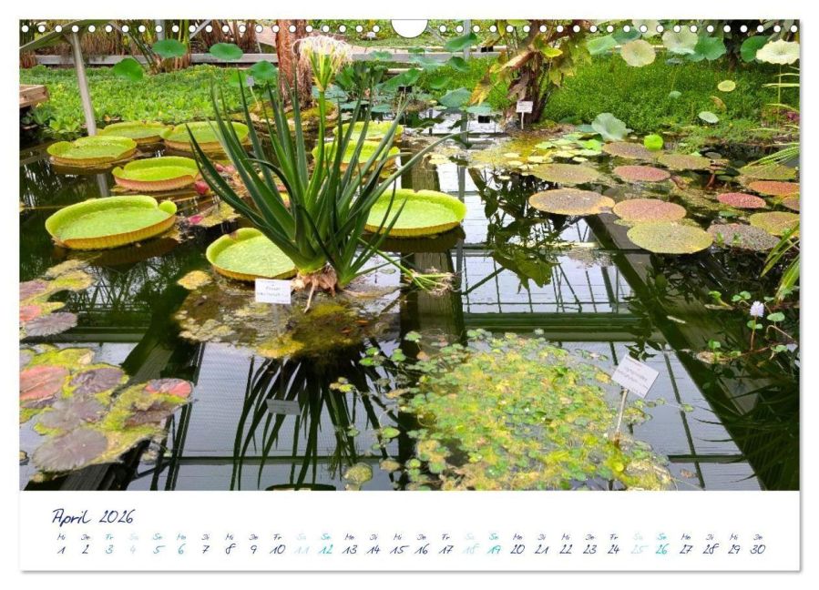 InsideView 9