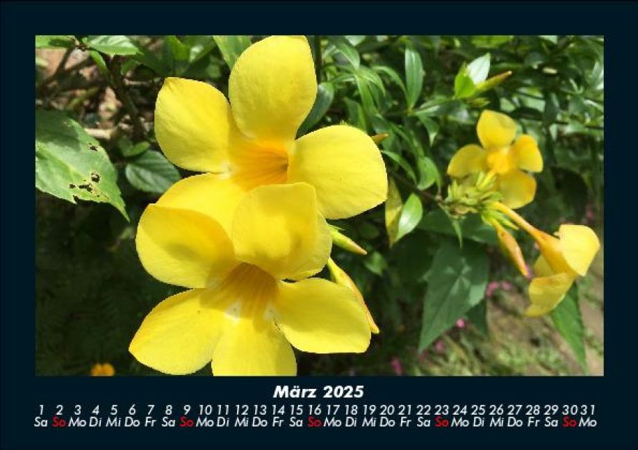 InsideView 7