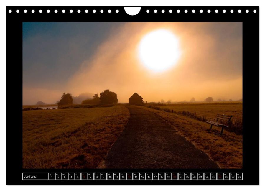 InsideView 11