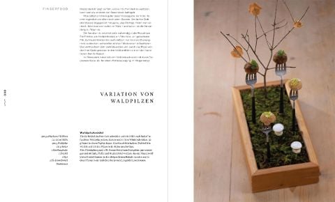 InsideView 4