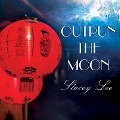 Cover-Bild zum Titel 'Outrun the Moon' von 'Stacey Lee'
