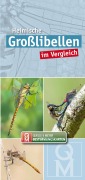 Cover-Bild zum Titel 'Heimische Großlibellen im Vergleich. 10er-Set' von ''