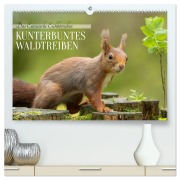 Das Eurasische Eichhörnchen - Kunterbuntes Waldtreiben (hochwertiger Premium Wandkalender 2026 DIN A2 quer), Kunstdruck in Hochglanz - Angela Merk