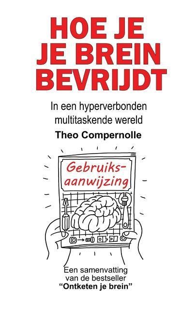 Hoe je je brein bevrijdt: In een hyperverbonden multitaskende wereld - Theo Compernolle