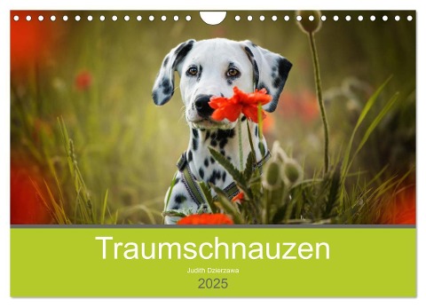 Traumschnauzen (Wandkalender 2025 DIN A4 quer), CALVENDO Monatskalender - Judith Dzierzawa