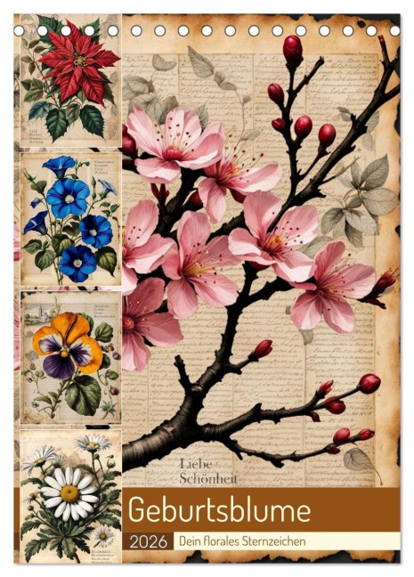 Geburtsblume, dein florales Sternzeichen (Tischkalender 2026 DIN A5 hoch), CALVENDO Monatskalender - Babette Whitter
