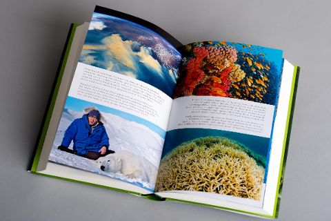 InsideView 4