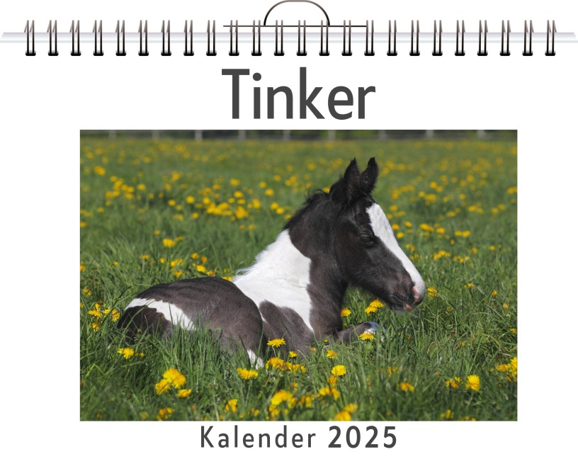 Tinker - Clara Horn
