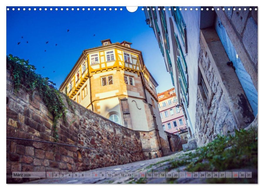 InsideView 8