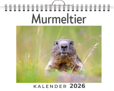 Cover-Bild zum Titel 'Murmeltier' von 'Alice Meyer'