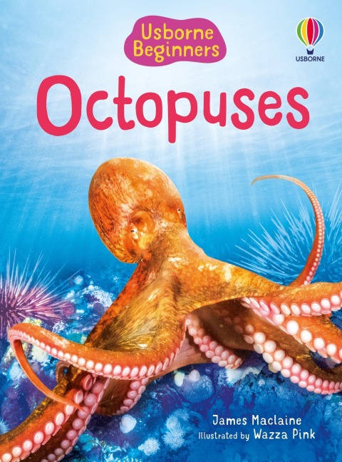 Beginners Octopuses - James Maclaine