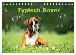 Typisch Boxer (Tischkalender 2026 DIN A5 quer), CALVENDO Monatskalender - Yvonne Janetzek