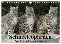Cover-Bild zum Titel 'Schneeleoparden. Perfekte Raubkatzen-Schönheiten (Wandkalender 2026 DIN A4 quer), CALVENDO Monatskalender' von 'Elisabeth Stanzer'